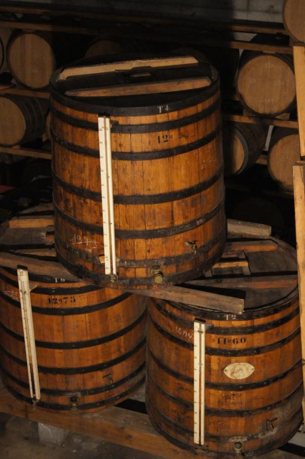 Chateau De Mons Armagnac Caussens Екстер'єр фото